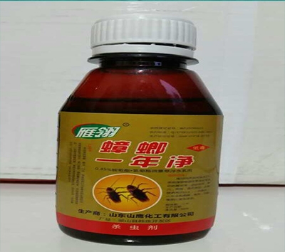 蟑螂一年净